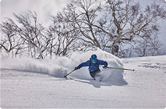carousel ski