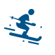 icon ski